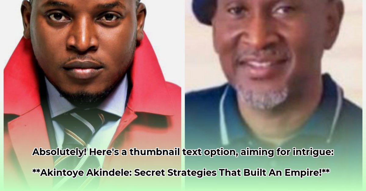 akintoye-akindele-net-worth